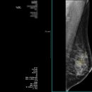 성종섬유 이미지