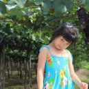 두지농장 이미지