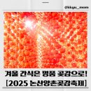 논산사랑푸드마켓 | 2025 제23회 논산양촌곶감축제 일정·장소·볼거리 총정리! 겨울 추억 가득 만들러 가요❄️