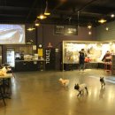 애견호텔1번가 이미지