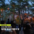 (주)세종교통 | 세종 낙화축제 후기 별처럼 빛난 세종의 밤 2025