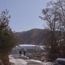 우금리농장 네이버블로그