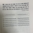 엠디피