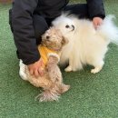 범어유치원 이미지