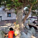 칠성사 | 부산전화신점 포항 칠성불사 전화상담 후기