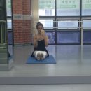 명품라인 만드는 힐링 발레 클래스 | 💫 라인온발레 앰버서더 1기 | 집에서 하는 진짜 발레핏 후기(포인-플렉스)