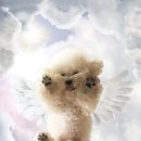 뭉개뭉개 이미지