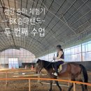 BK승마랜드 이미지