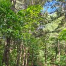 청계 맑은숲공원 이미지