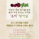 오장밥상 이미지