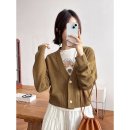 소프트P.J 이미지