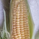 성실축산 이미지