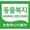 초록할인마트 이미지