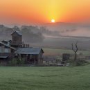 안성목장 이미지