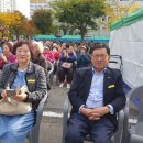 돌고래시장상인회 - 7817 | 돌고래시장상인회