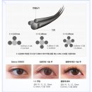 래쉬엔젤 이미지