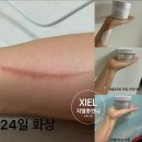 지엘(xiel) 네이버블로그