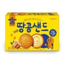 크라운 이미지