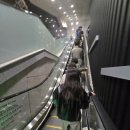 야나첵 스트링 콰르텟 내한공연 | 클래식 추천 야나첵 스트링 콰르텟 한 체코 수교 35주년 내한공연 예술의전당IBK챔버홀