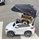 빠방이네 | 내돈내산 구매후기_돌아기 두번째 빠방이 선물💛 파파야나인 BMW 8세대 블랙에디션 푸쉬카