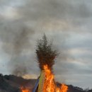 임호초등학교 이미지