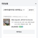 [일상] 수원 클라이밍 체험기