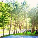 리버힐즈 캠핑장(푸른농원) 이미지