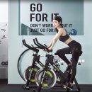 리바디핏 이미지