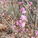 월곡인조잔디구장 이미지