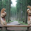 절물자연휴양림 이미지