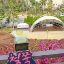 동산제일아파트 | 2025 봄꽃축제, 군포 산본 철쭉동산 개화 현황(수리산역, 철쭉제 포토존)