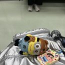 율면체육시설 실내화장실 | 인천 연수구수영장 연수행복체육센터 무료 자유수영 후기