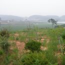 태안별장 이미지