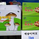 하이태크 이미지