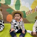 베베카우 이미지