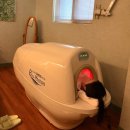 모든 바이오 | 강동구천호길동 바이오포톤 :: 에스테포레 전신순환관리, 바디관리 솔직후기