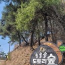 솔솔솔도토리숲 네이버블로그