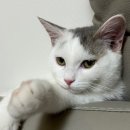 조이앤동물병원 이미지