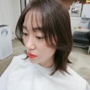 자르다헤어 이미지