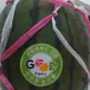 계백농장 이미지