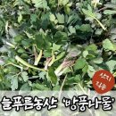 늘푸른농산 - 제천시 용두천로 134 | 늘푸른농산