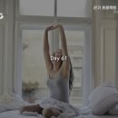 켈리스 이미지