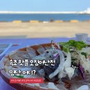 속초 핫플 오징어난전, 가장 여유로운 끝자리 금성호 내돈내산 후기