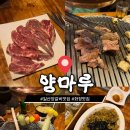 양마루 양꼬치&양갈비 | 화정역 맛집, 양마루 화정점, 일산 양고기 양생갈비