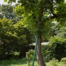 경성당 이미지