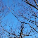 석계2리 이미지