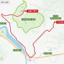 치유의 숲 이미지