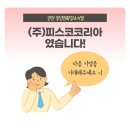 (주)피스코코리아