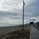 문무 | 경주 바닷가 추천 아이랑 가기에도 좋은 봉길대왕암해변(문무대왕릉) 방문 후기