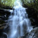 유안청폭포 Daum카페